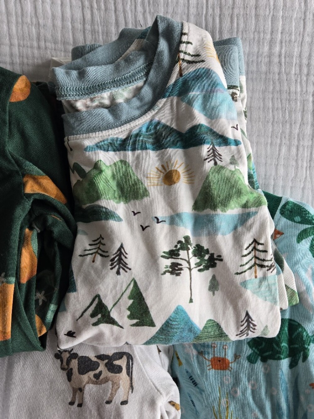 Little Sleepies Long Sleeve Pajama Set in Mountain Mist — 3T | EUC